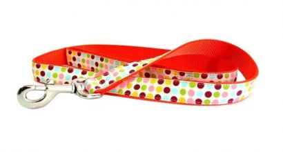 Correa Ribbon Large Puntos