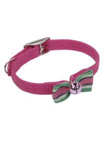 COLLAR GATO SASSY  3/8" FUCSIA