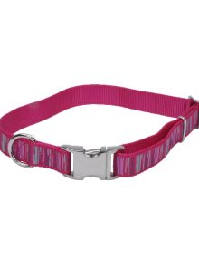 Ribbon Fucsia Rayas
