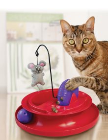 KONG GATO GIMNASIO PLAYGROUND