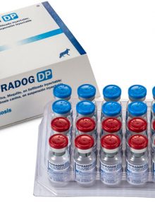HIPRADOG DP Vacuna viva, Moquillo, en liofilizado inyectable; y Parvovirosis canina, en suspensión inyectable