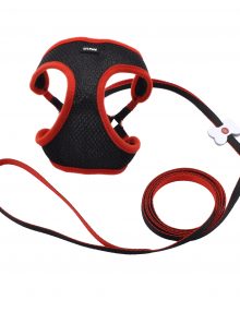 LIL PALS PERRO COMBO ARNES CORREA NEGRO